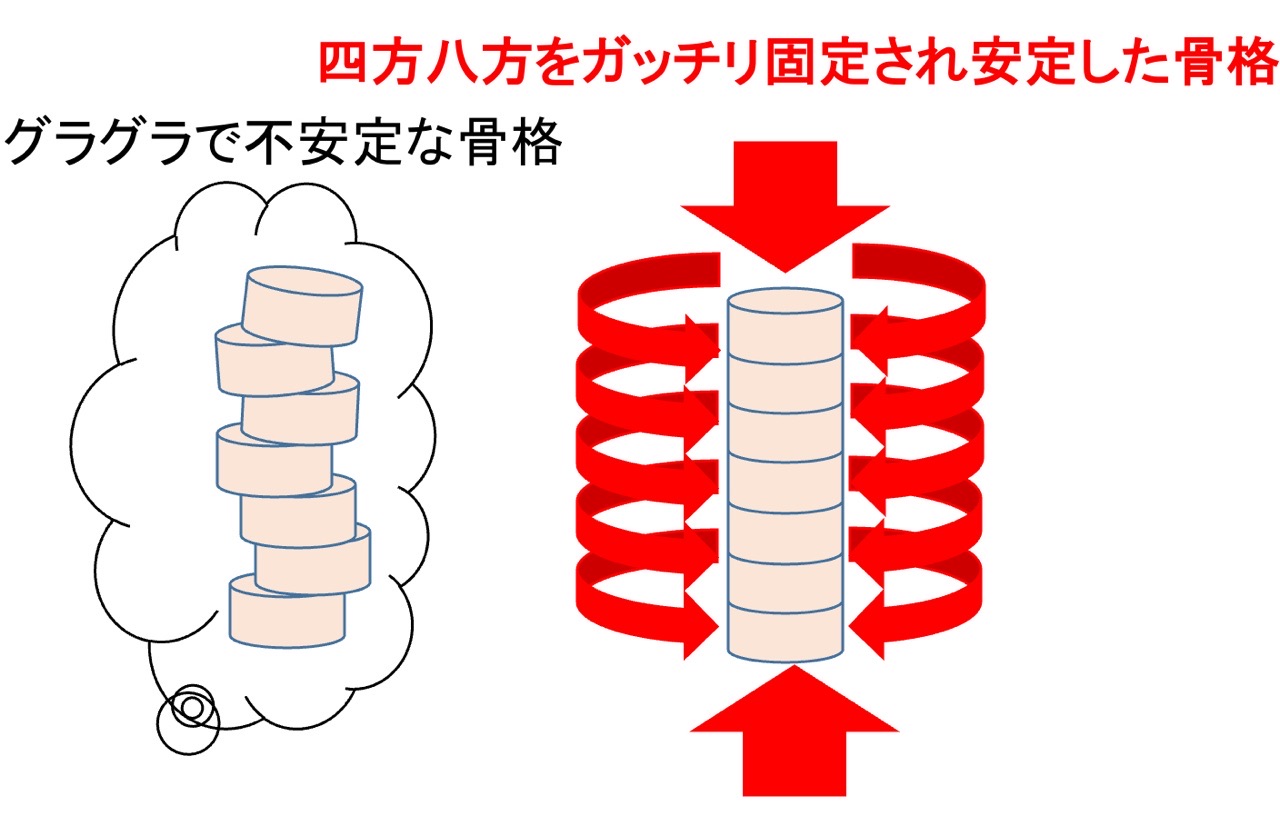 骨格を支えるイメージ