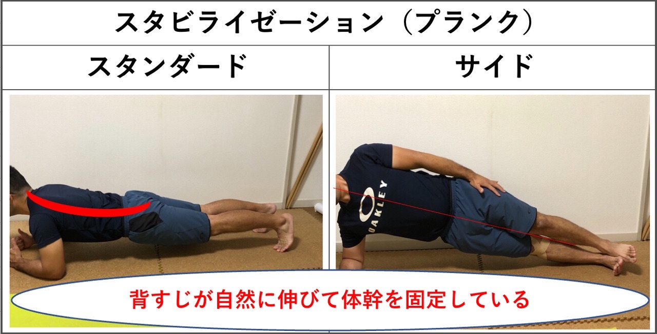 ジムでの筋トレで腰痛に 原因と対処法を紹介 Michibiki Blog ジムでの筋トレで腰痛に 原因と対処法を紹介 Michibiki Blog