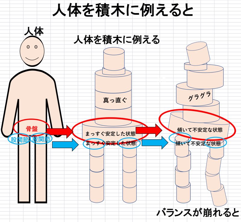 人体を積木に例える