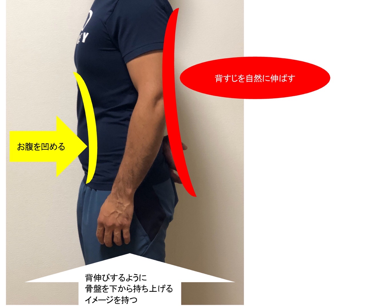 40代以上の女性必見！体幹トレーニングで腹筋を鍛える！ MICHIBIKI BLOG