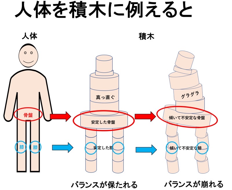 人体に例えた積木