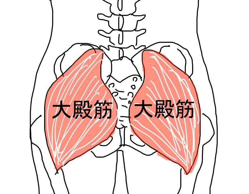 大殿筋