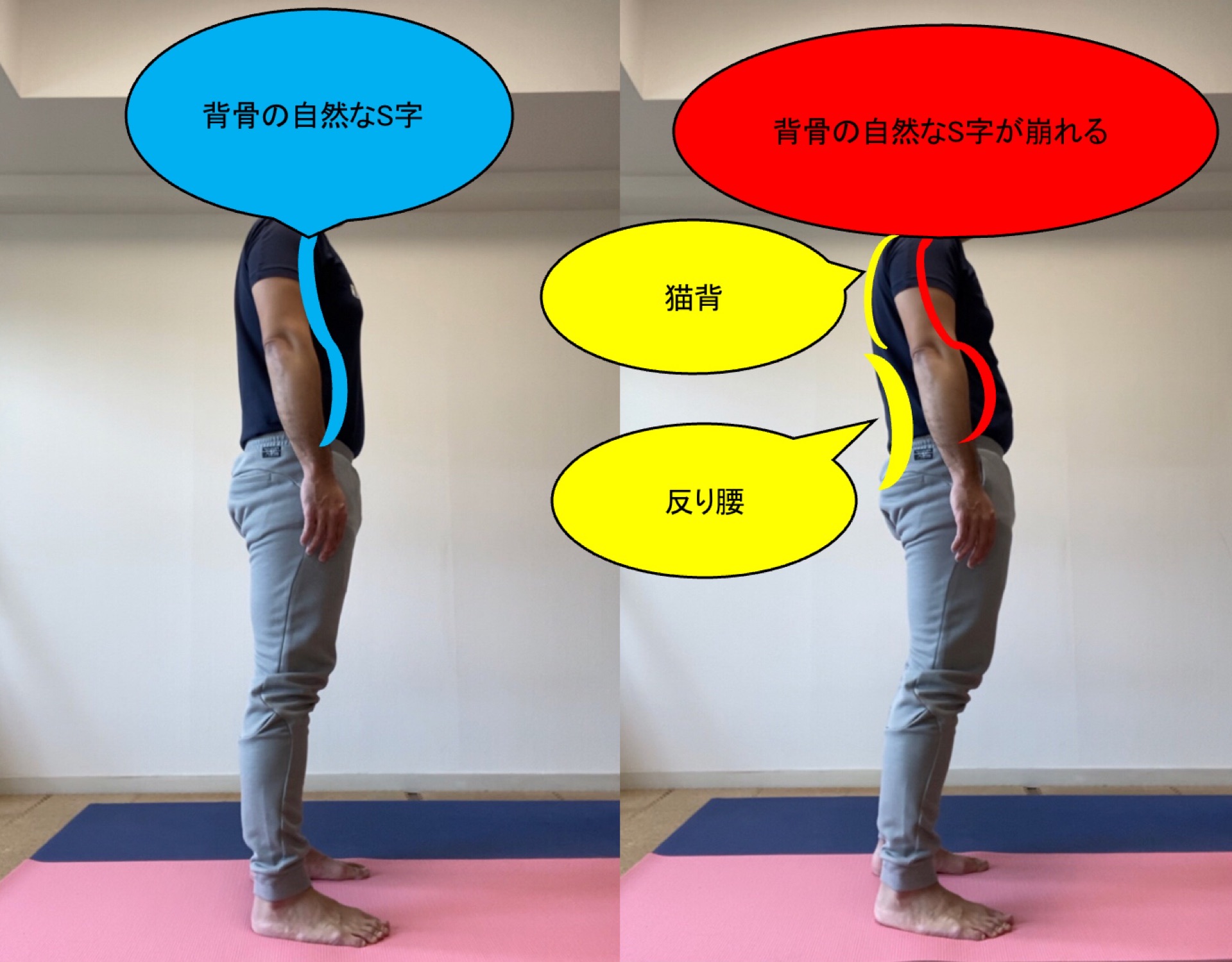 背骨コンディショニングのやり方は肩甲骨と骨盤に注目 姿勢やスタイル改善に役立つストレッチや筋トレを紹介 Michibiki Blog 背骨コンディショニングのやり方は肩甲骨と骨盤に注目 姿勢やスタイル改善に役立つストレッチや筋トレを紹介 Michibiki Blog