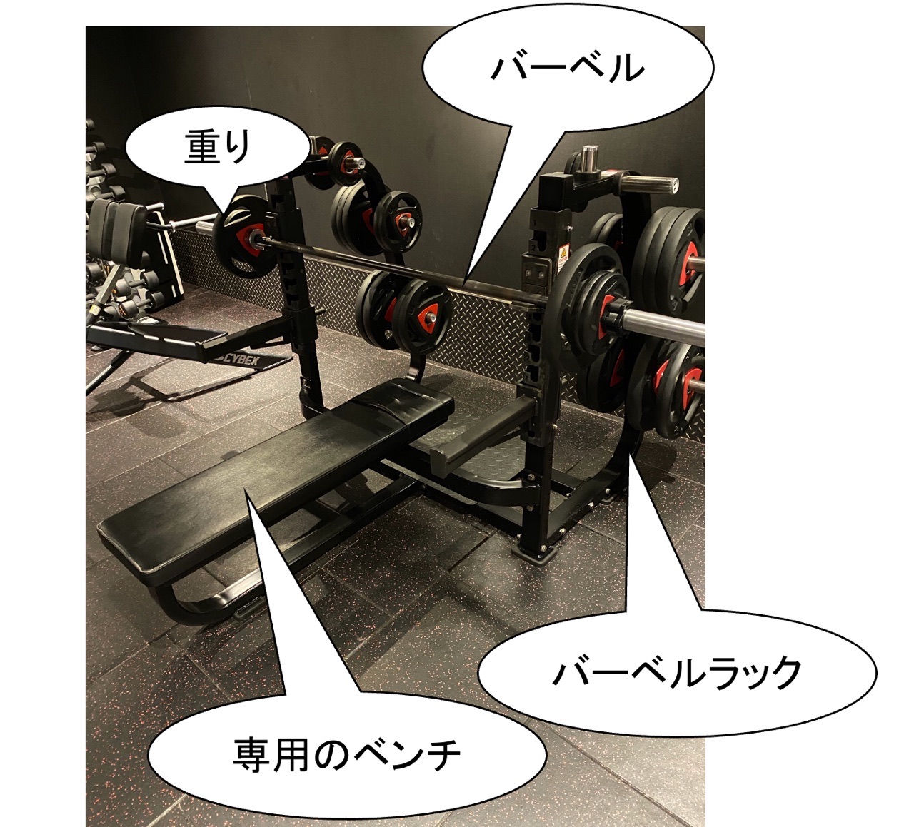 ダンベルの筋トレで胸筋を強化 ベンチプレスとフライをダンベルでケガなく行うポイントを紹介 Michibiki Blog