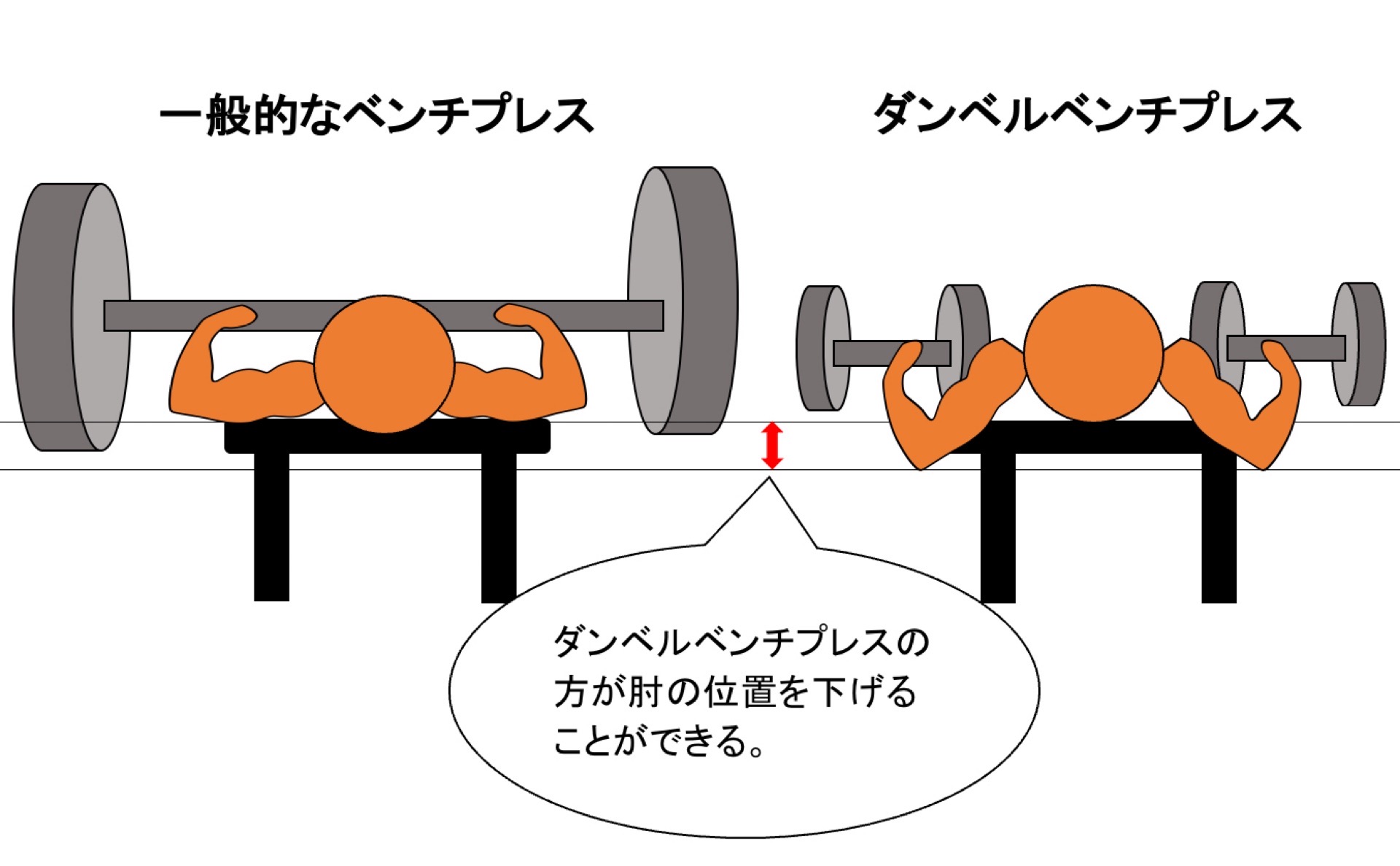 ダンベルベンチプレスの特徴