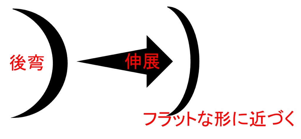 胸椎の伸展