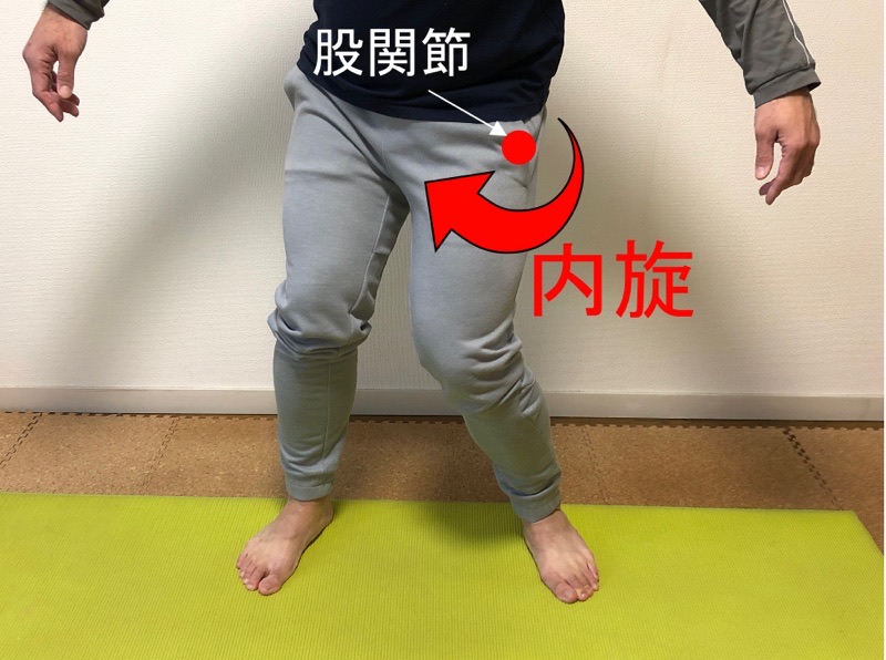 股関節の内旋