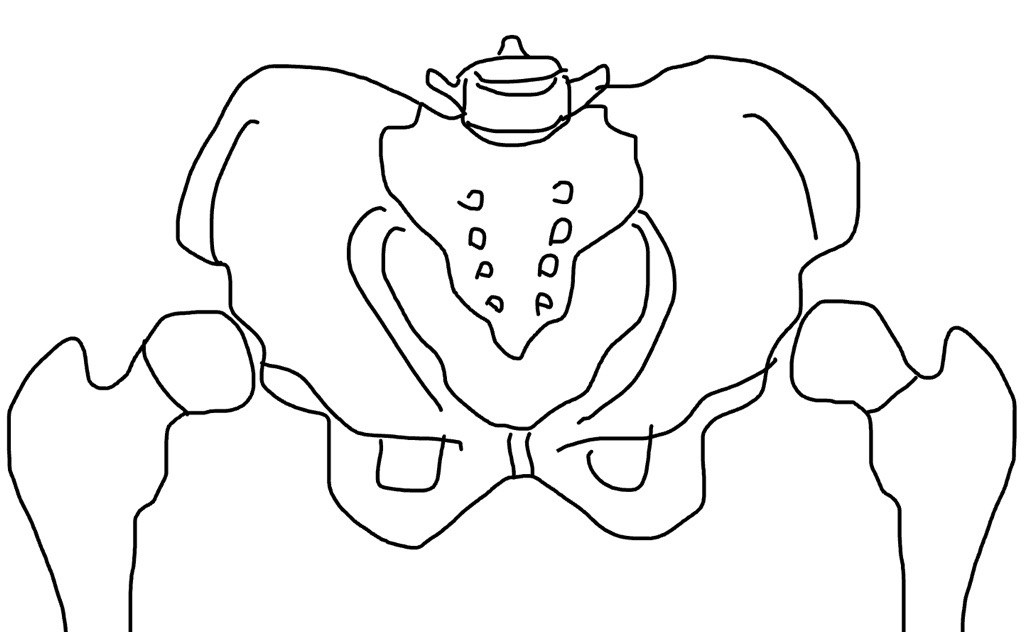 pelvic