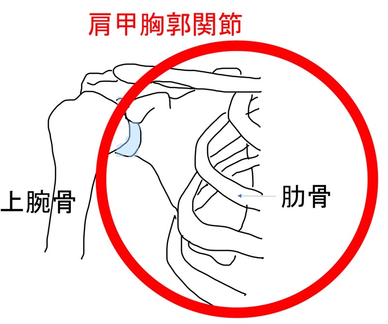 肩甲胸郭関節