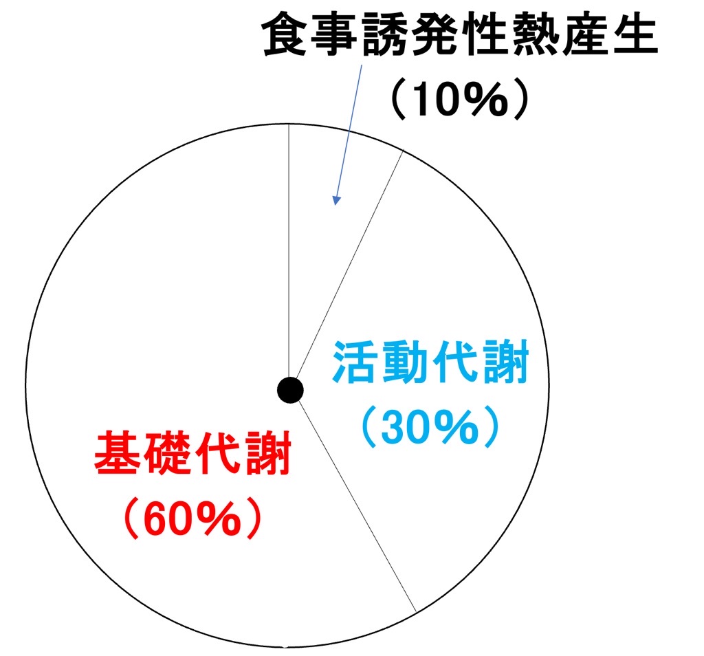 エネルギー代謝